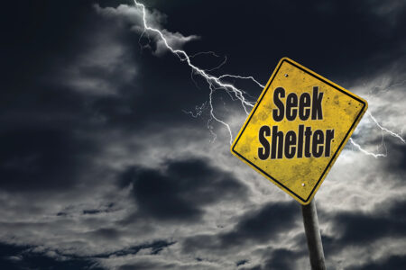 article image - 
